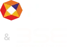 nse bse icon
